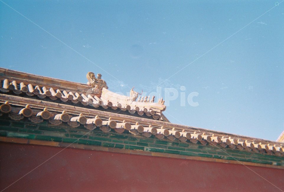 필름,중국,북경,필름카메라,처마