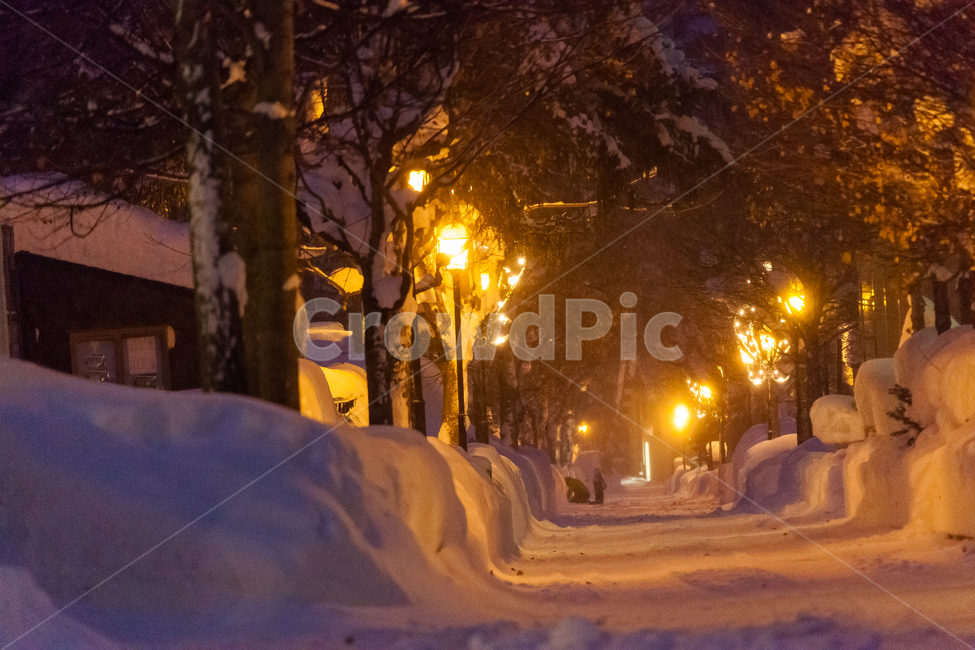 스위스,겨울,집,램프,눈,빛,건물,겨울,계절,winter,season,자연,풍경,nature,landscape,야경,밤,nightscape,night,light,flare,플레어,walkway,보도,path,통로