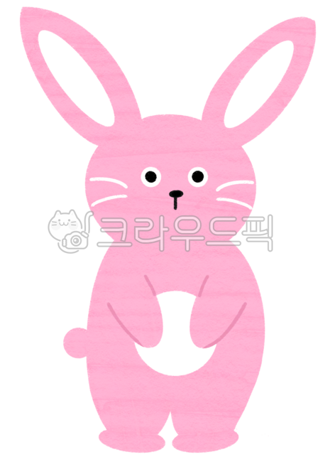 Rabbit and Turtle,Rabbit,Rabbit and Turtle,Domestic Rabbit,Farm Animal,Easter