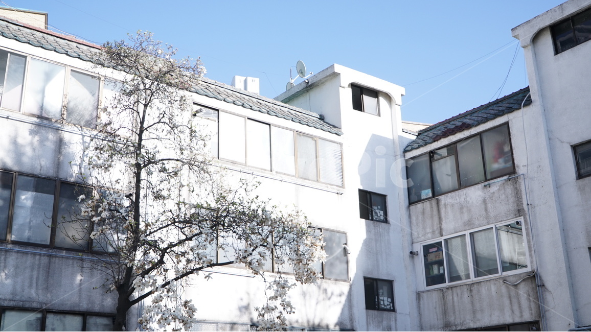 맨션,건물,동네,낮,오후,허름,빌라,옛날건물,낡은,빈티지사진,빈티지느낌,빈티지감성,vintage,건축물,건물외관,exterior,building,structure,architecture,construction