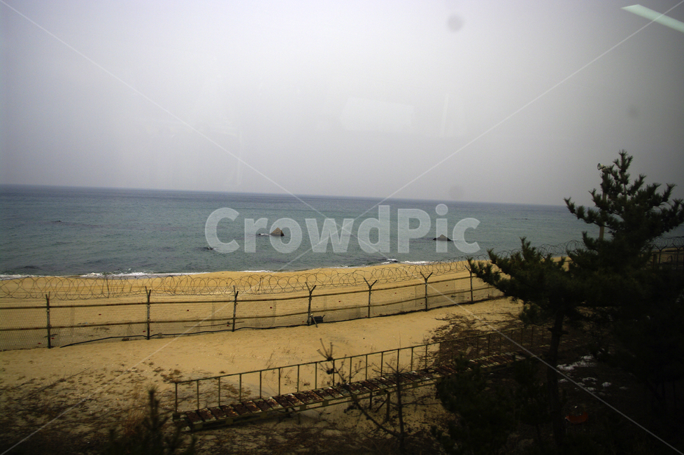 풍경,자연,나무,하늘,바다,nature,철조망