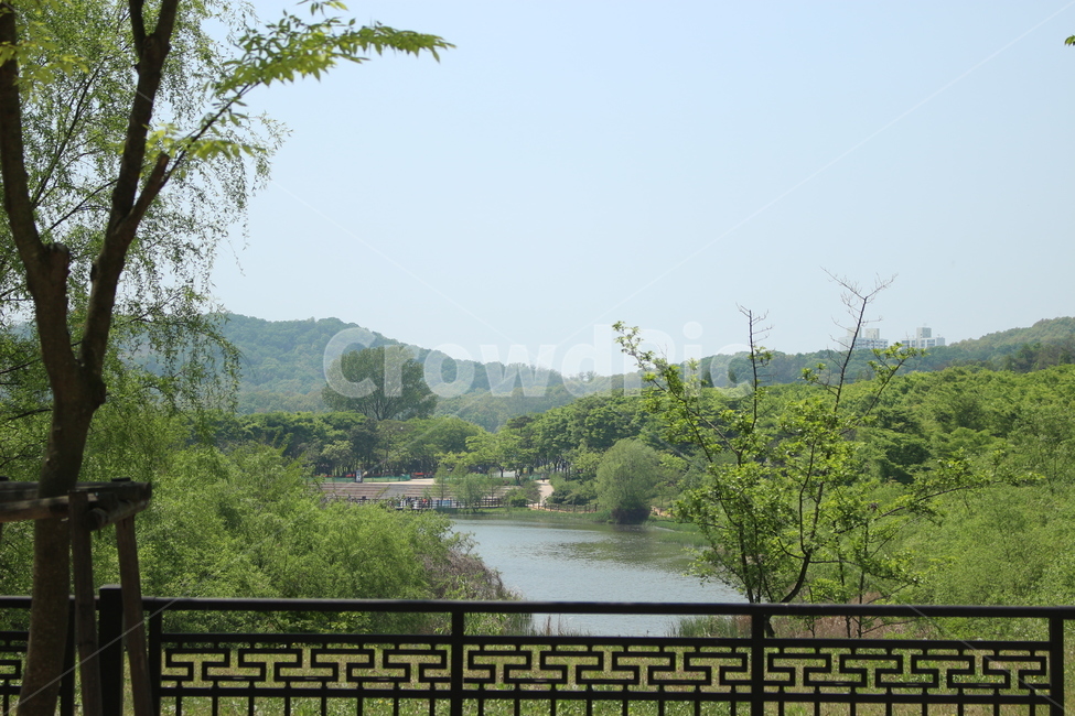 호수,여유로움,여유,한적,인천대공원,잔잔함,자연,풍경,nature,landscape,railing,난간,outdoors,옥외