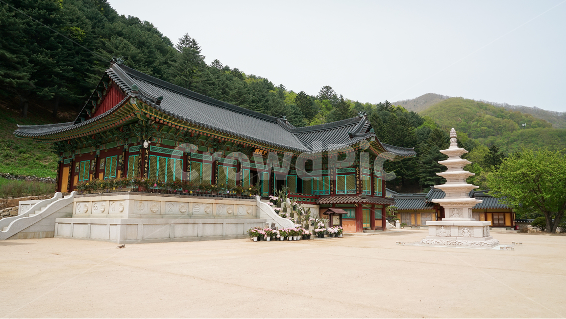 절,사원,불교,부처,극락,종교,탑,상원사,오대산,강원도,대한민국,산,숲,나무,녹색,푸른,하늘,봄,여름,깨끗한,상쾌한,조용한,경건한,temple,buddhism,religion,buddha,paradise,heaven,pagoda,sangwonsa,odaesan,gangwondo,korea,mountain,forest,tree,green,blue,sky,spring,summer,clean,fresh,slience,reverent,풍경,landscape,한국전통,한국문화,korean traditional,korean culture,종교,신앙,religion,belief,faith,건축물,건물외관,exterior,building,structure,architecture,construction