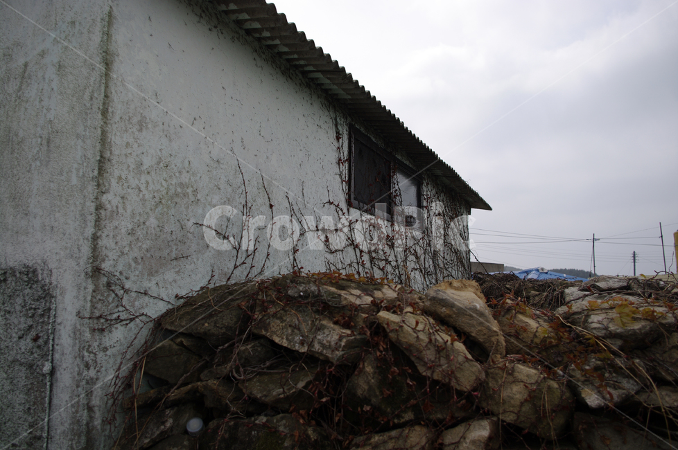 돌담,집,창문,넝쿨,식물,plant,시골,마을,풍경,landscape,country,rural,town,건축물,건물외관,exterior,building,structure,architecture,construction