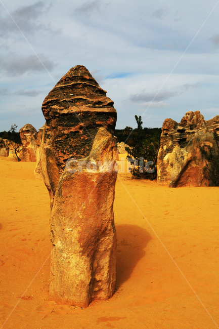 phallic stone,nature,perth,Pinnacle,pinnacles,Overseas natural scenery,sand,natural scenery,outdoors,limestone,sight,Pinnacles,strangely shaped rocks,desert