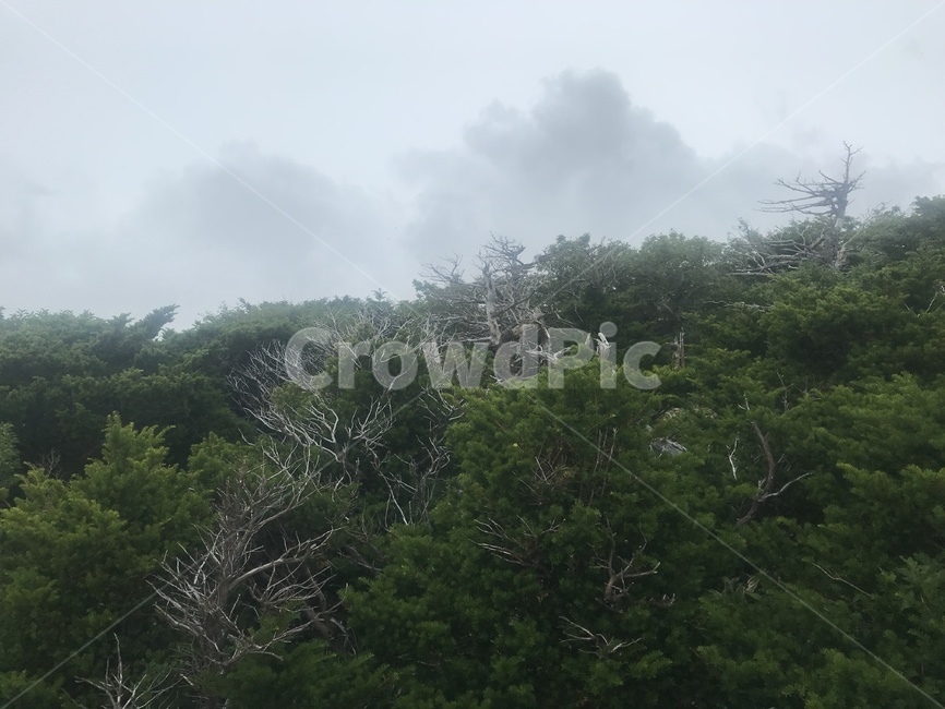 제주한라산,한라산,영실탐방로,백록담,윗세오름