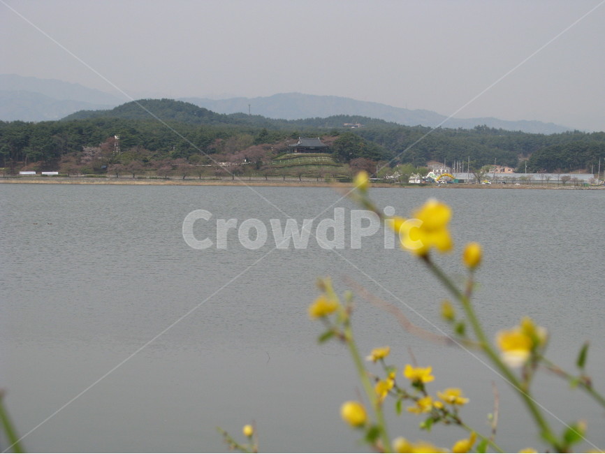 경포대,호수,강릉,대한민국,한국,gyeongpodae,lake,gangneung,republicofkorea,southkorea,자연,풍경,nature,landscape,한국자연풍경,한국자연경관,korea nature landscape,water,물,outdoors,옥외