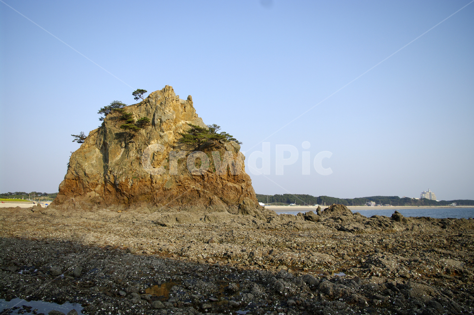바다,안면도,섬,해안,바위,풍경,자연,풍경,nature,landscape,한국자연풍경,한국자연경관,korea nature landscape,outdoors,옥외,cliff,낭떠러지