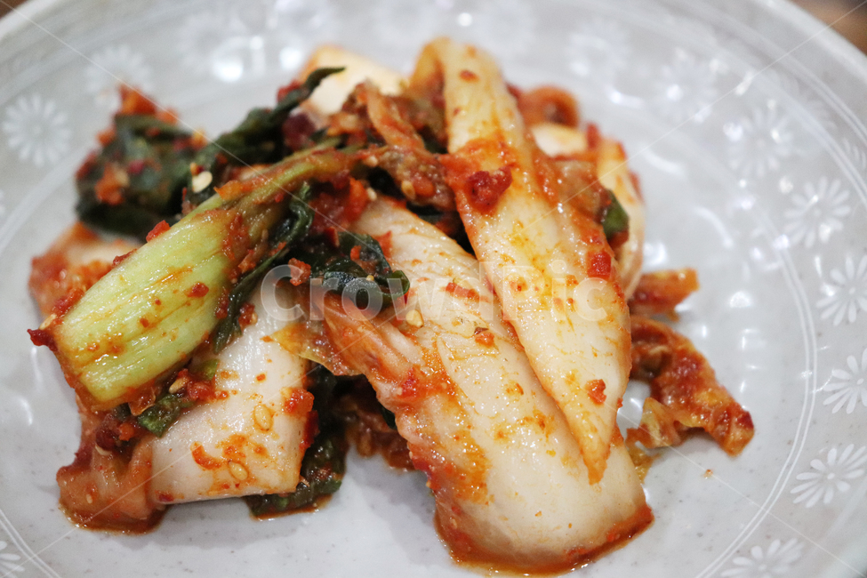 김치,배추김치,겉절이,겉저리,배추요리,김치요리,반찬,한국음식,한식,매운김치,매운요리,매운반찬