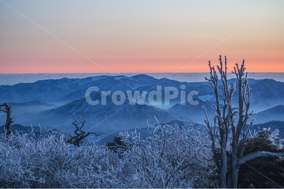 태백산,산,일출,겨울,눈꽃,상고대,겨울,계절,winter,season,자연,풍경,nature,landscape,mountain range,산맥,mountain,outdoors,옥외