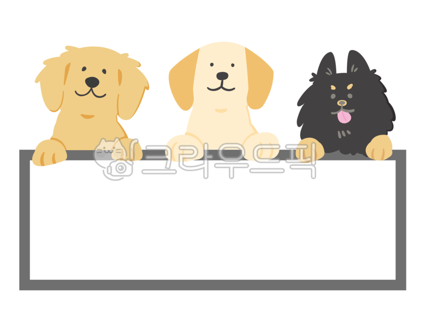 개,이름표,골든리트리버,동물,강아지,puppy,포유류,animal,pet,애완동물,dog