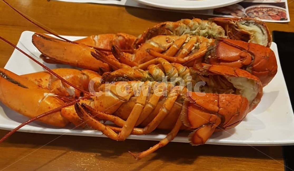 랍스타,가재,음식,해물,요리