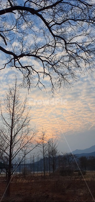 자연,겨울풍경,겨울나무,노을,저녁하늘,자연,풍경,nature,landscape