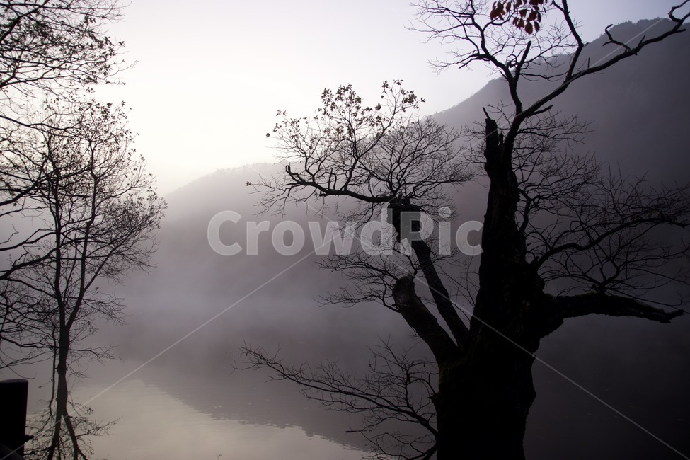 주산지,물안개,가을,단풍,나무,자연,풍경,nature,landscape