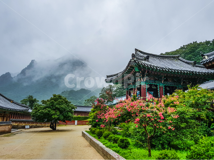 산사,절풍경,운해,설악산,신흥사,자연,풍경,nature,landscape,한국자연풍경,한국자연경관,korea nature landscape,한국전통,한국문화,korean traditional,korean culture,건축물,건물외관,exterior,building,structure,architecture,construction,outdoors,옥외