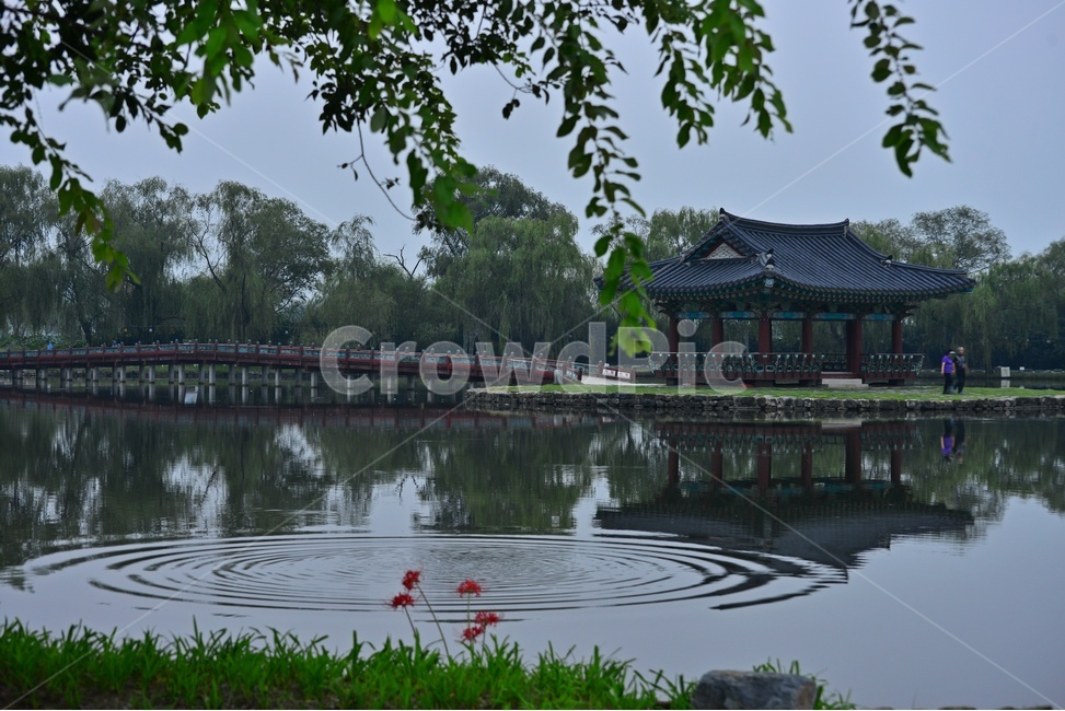 outdoors,옥외,water,물,building,건물,architecture,건축물,부여,궁남지,연꽃축제장