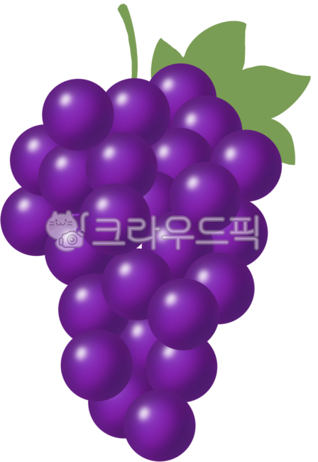 Grapes,purple,grape,snack,dessert,fruit,sweet,delicious,purple,grape png,grape illustration,illustration,illustration
