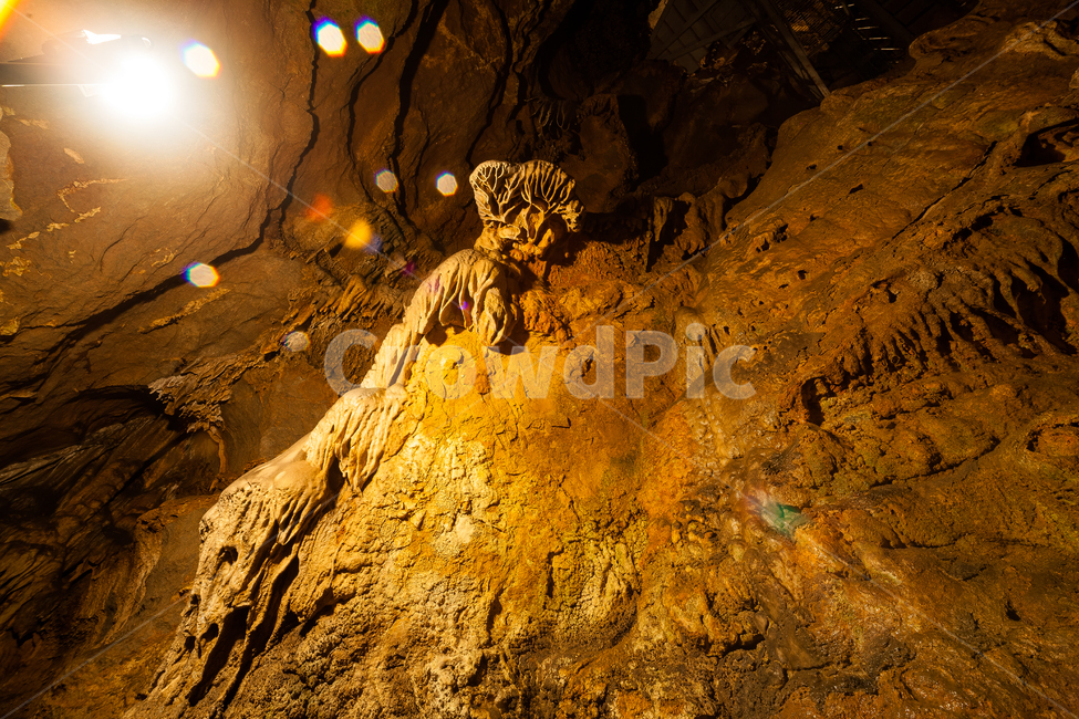 고수동굴,충청북도,동굴,어두운,돌,단양,지질학,지질형성,자연,풍경,nature,landscape,cave