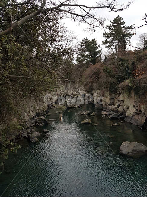 water,물,nature,자연,outdoors,옥외,stream,흐름,creek,작은만,제주도,자연,풍경,nature,landscape,작은 만