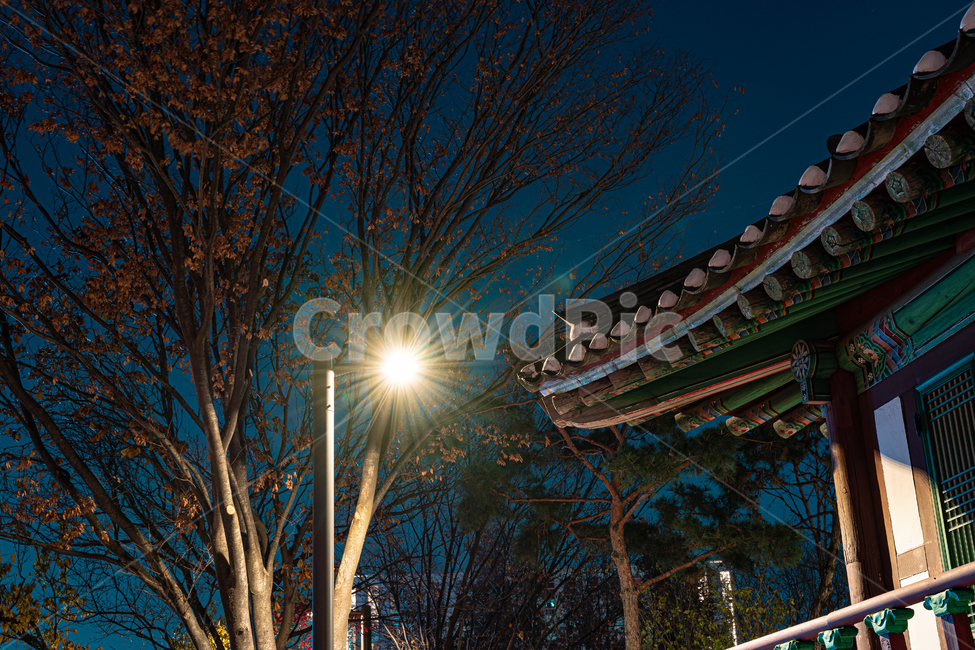효사정,효사정공원,정자,건축물,건물,빛,가로등,가을,밤,야경,밤,풍경,nightscape,night,landscape,한국전통,한국문화,korean traditional,korean culture,건축물,건물외관,exterior,building,structure,architecture,construction