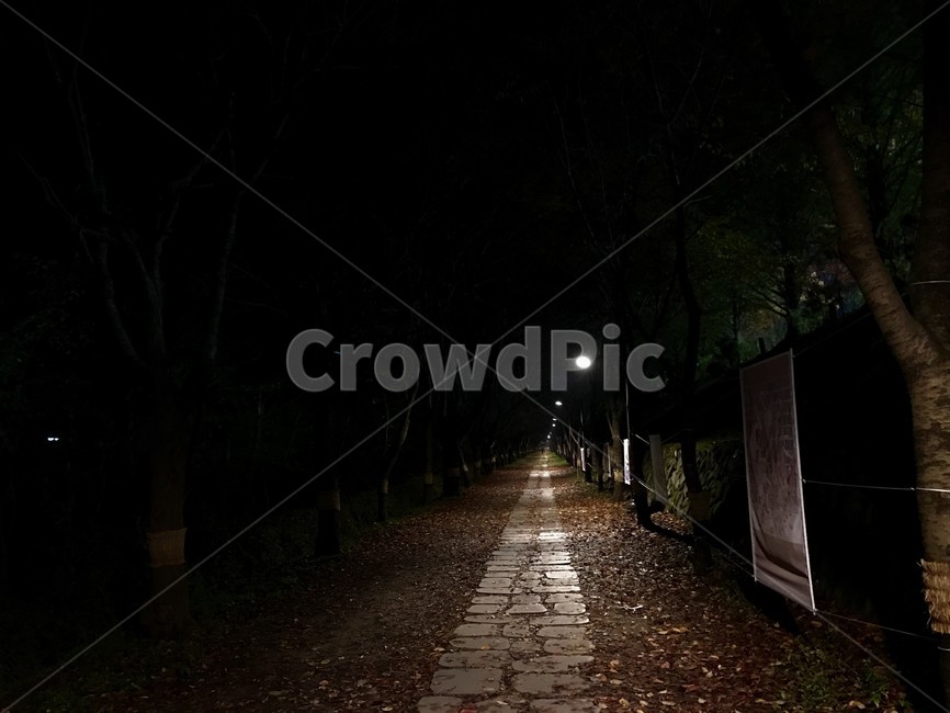 path,trail,straight road,dark road,straight path,streetlight