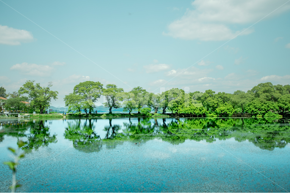반영,풍경,자연,배경,나무,하늘,호수,구름,water,nature,outdoors,자연,풍경,nature,landscape
