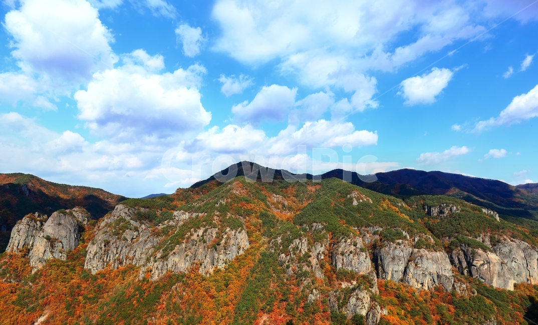 가을,하늘,단풍,암봉,산,주왕산,가을,계절,fall,autumn,season,자연,풍경,nature,landscape,한국자연풍경,한국자연경관,korea nature landscape,outdoors,옥외