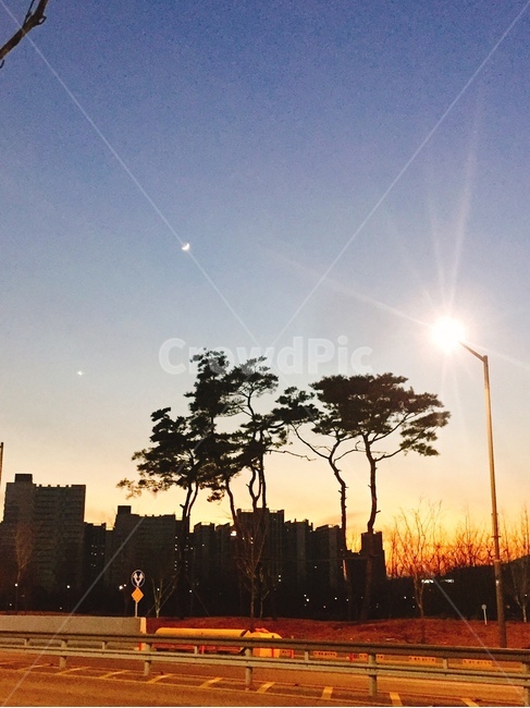 하늘,구름,달,숲,나무,분위기