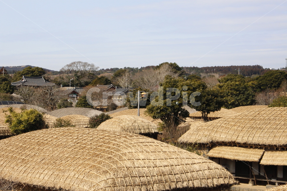 제주,제주토속,토속적,제주도,전통지붕,제주전통가옥,시골,마을,풍경,landscape,country,rural,town,한국전통,한국문화,korean traditional,korean culture