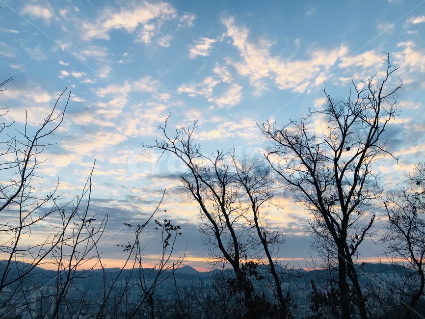 나무,새벽,구름,하늘,tree,dawn,cloud,sky,일출,sunrise