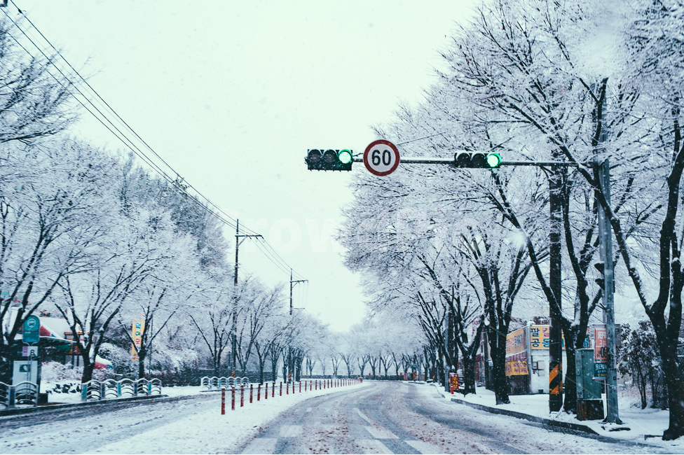 nature,자연,outdoors,옥외,storm,폭풍,눈,snow,winter,겨울,blizzard,눈보라,겨울,계절,winter,season