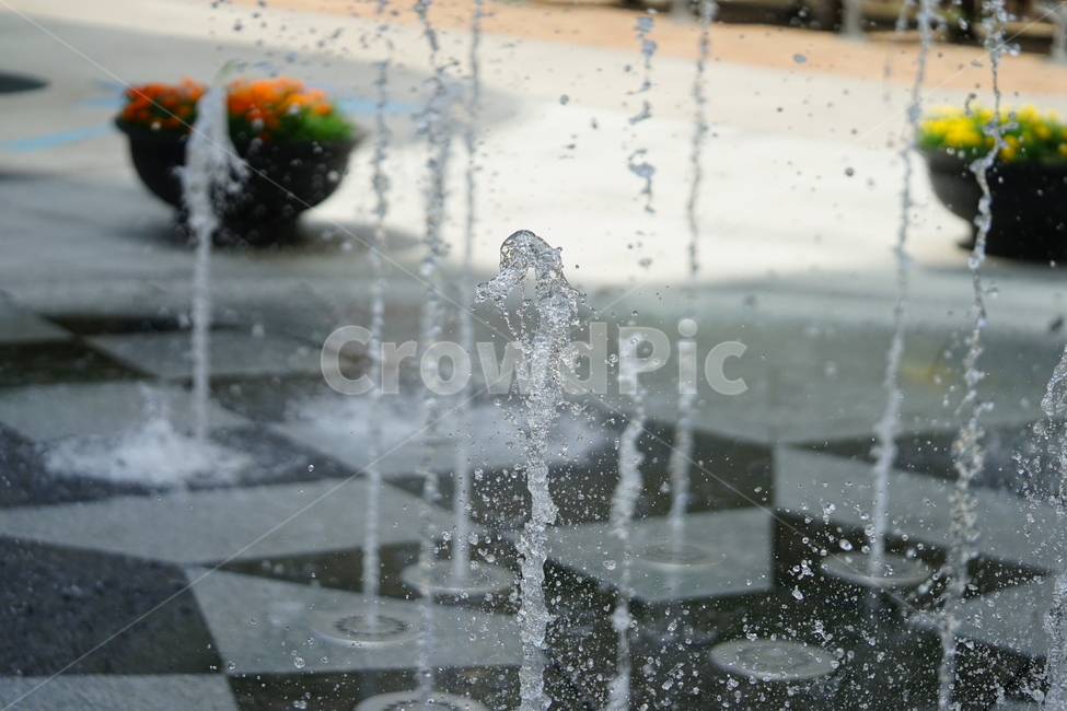 분수,물,물줄기,여름,계절,water,순간,순간포착,더위,summer,여름,계절,summer,season,fountain