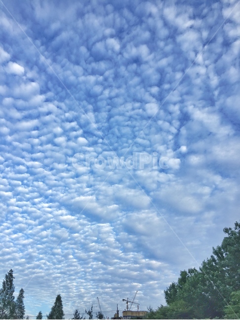 하늘,구름,풍경,파란,sky,cloud,자연,nature,경치,landscape,scenery,outdoors,옥외