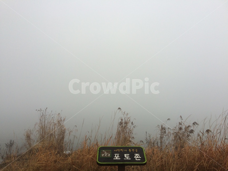 하늘,갈대,가을,감성사진,강,물,안개,자연,풍경,nature,landscape,weather,날씨,outdoors,옥외,fog