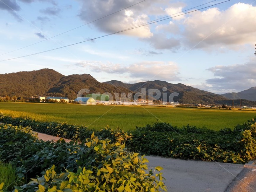 상주,노을,산,자연,가을,자연,풍경,nature,landscape,시골,마을,country,rural,town,outdoors,옥외