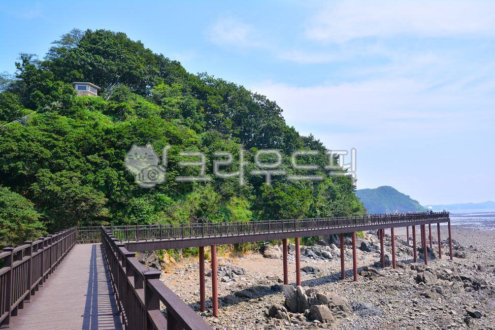 forest,Dullegil,deck,coastal walkway,Observatory,trail,healing,Beach,Handrail,sky,handrail,nature,Daebu Haesolgil,Daebudo,outdoor,ocean,outdoors,Ansan,background,west coast