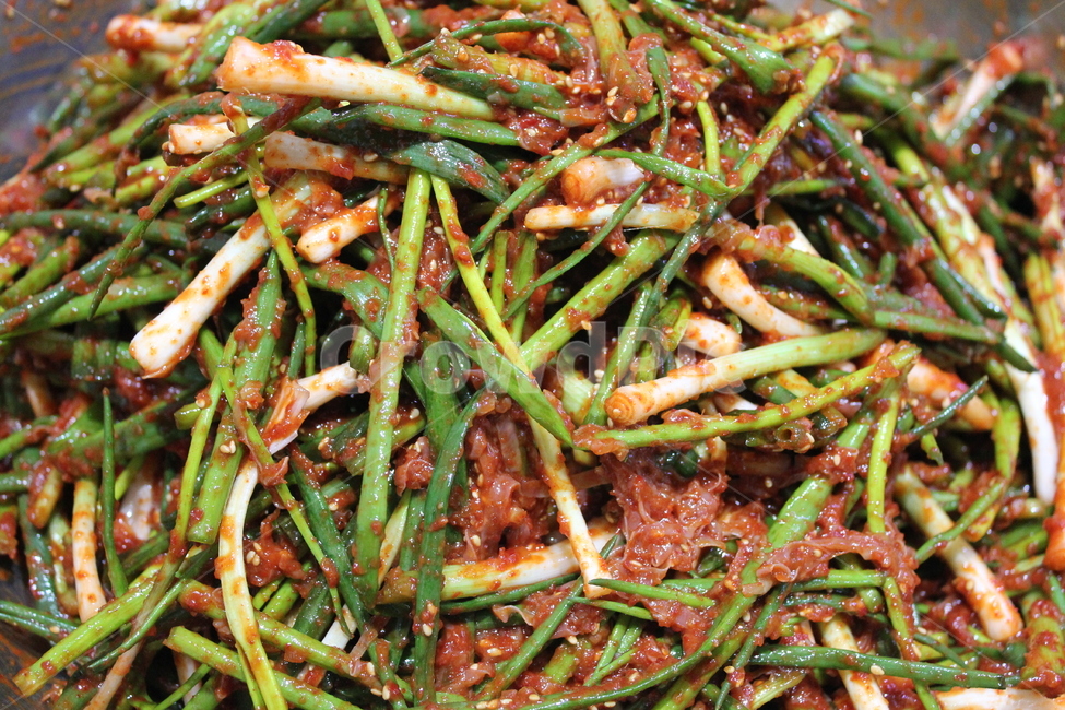 파김치,쪽파,고추가루,스텐레스그릇,양념,반찬,음식,식물,food,음식,식재료,요리,food,cook,meal,dishes,food reserves