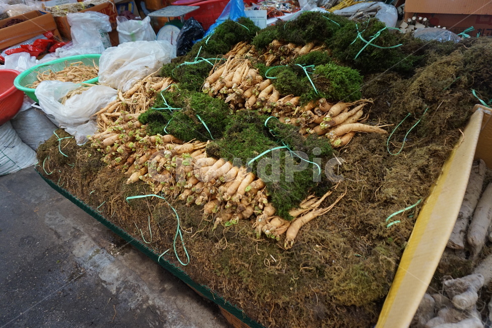 시장,재래시장,삼,인삼,상점