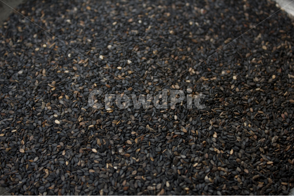 closeup,dry,dummy,food,grain,macro,meal,natural,nature,organic,plant,seed,seeds,sesame,sesameseed,sesameseeds,top,topangle,topview,깨,참깨,곡식,곡류,음식,음식재료,식재료,식물,씨앗,씨,말린,말리는,건조,자연,클로즈업,탑앵글,탑뷰,깨소금,농작물,농촌,농사,검정,블랙,검은색,black,검은깨,곡류,곡식,cereals