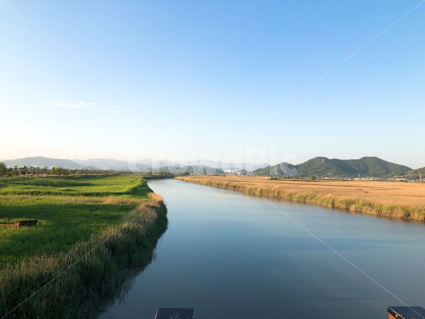 갈대밭,강,하늘,풍경,산,자연,풍경,nature,landscape,outdoors,옥외,water,물