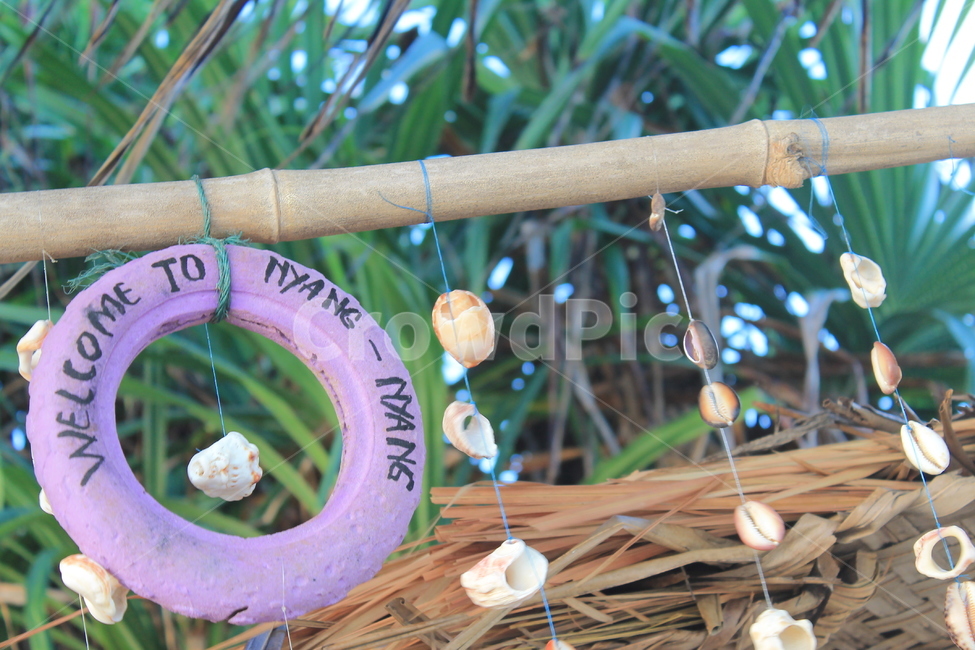 nyangnyang,seashelle,조개껍데기,냥냥,bali,발리,welcome,nysngnyangbeach,냥냥해변
