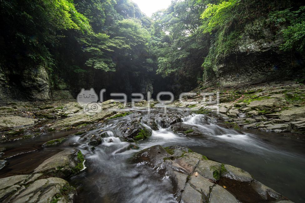 Jeju Island,Andeok Valley,Valley,Trees,Forest,Mountain,Canyon,Valley,Rock,Cliff,Light,Long Exposure,Water
