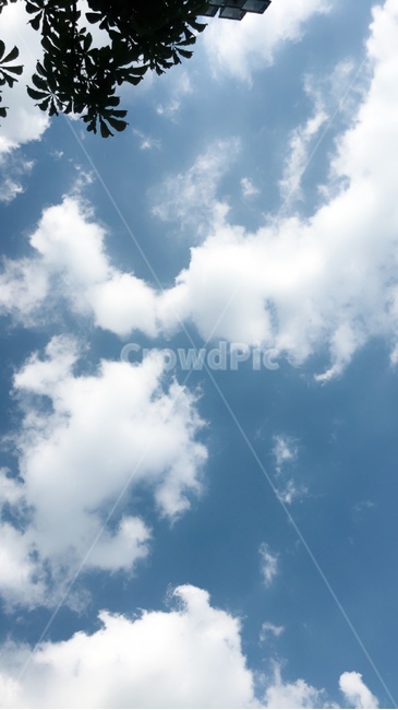 하늘,파란색,나무,구름,여름하늘,뭉게구름,자연,풍경,nature,landscape,azure sky,푸른 하늘,sky,outdoors,옥외