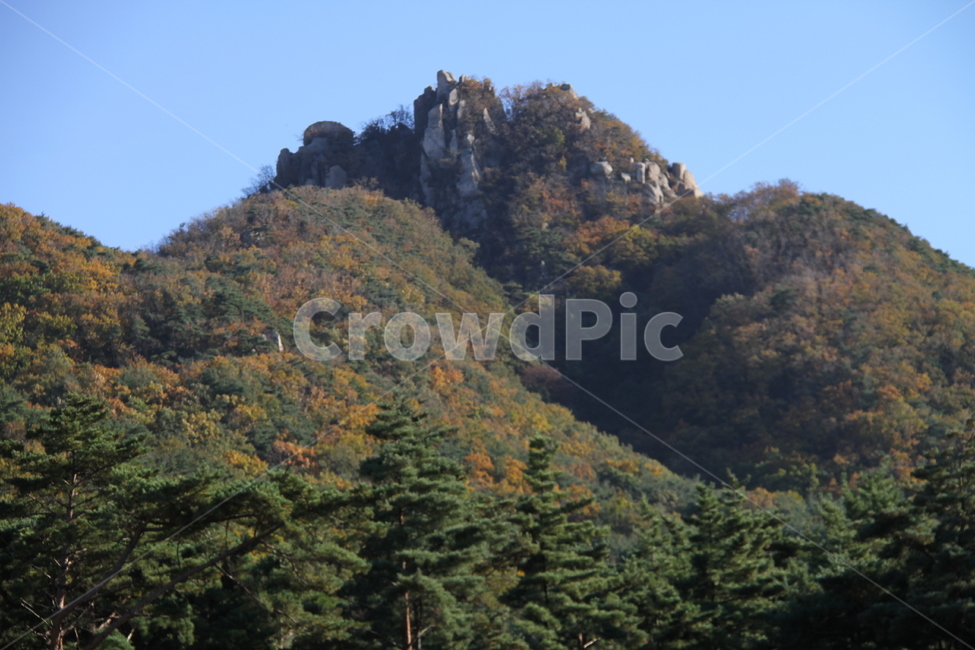 풍경,산,나무,단풍,가을