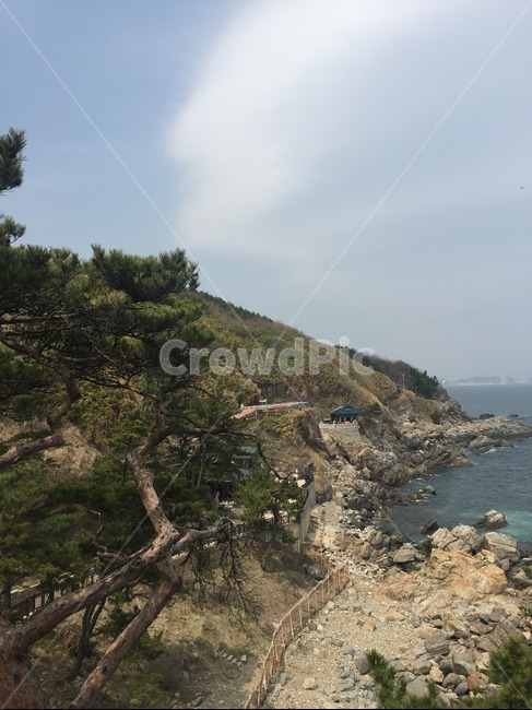바다,나무,구름,바위,소나무,자연,풍경,nature,landscape,promontory,곶