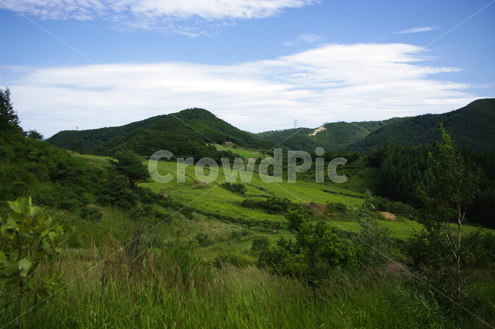 하늘,구름,산간,산,나무,식물,풍경,자연,풍경,nature,landscape,outdoors,옥외,hill,언덕
