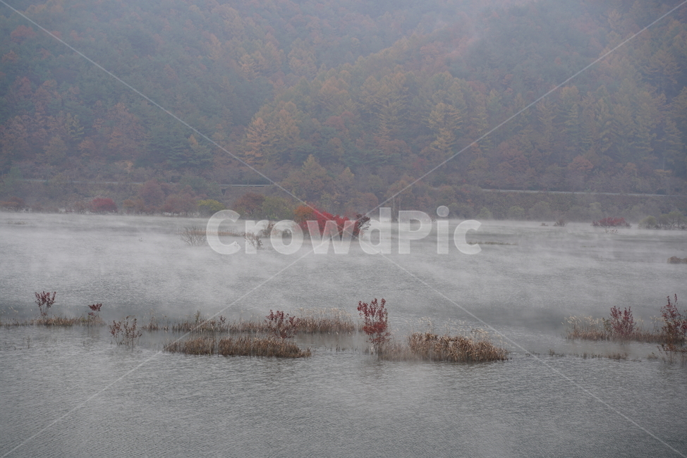 물안개,용담댐,진안군,저수지,호수공원,담수지,waterfog,nature,자연,weather,날씨,fog,안개