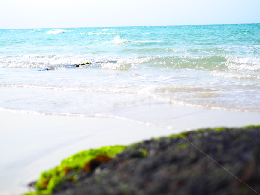 바다,제주,바닷가,바닷길,제주도,해변,바다,beach,sea