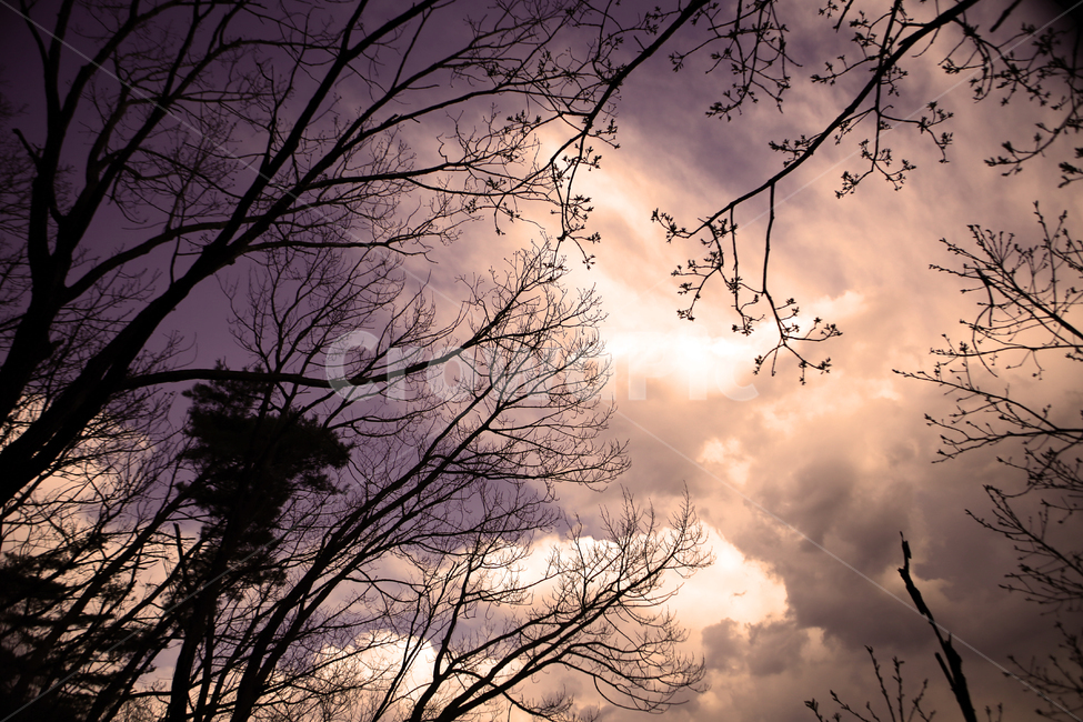 하늘,나무,산,불암산,봄,구름,자연,풍경,nature,landscape,outdoors,옥외,weather,날씨,cloud,sky,cumulus,적운