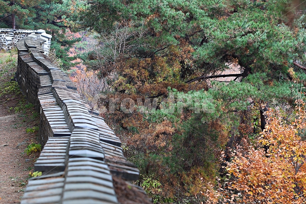 남한산성,성,성곽,단풍,낙엽,길,둘레길,숲,숲길,담,돌담,가을,자연,풍경,벽,울긋불긋,산성,식물,가을,계절,fall,autumn,season